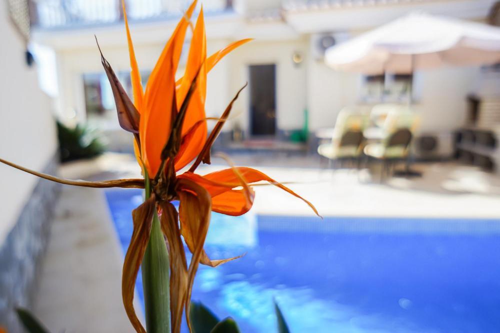 Villa Roan De Amberes Torrox Exteriér fotografie